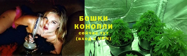 PSILOCYBIN Медвежьегорск