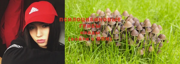 Альфа ПВП Бронницы