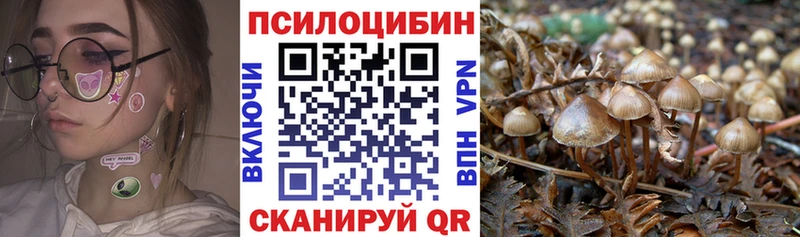 Псилоцибиновые грибы мухоморы  Купить  Дмитриев 
