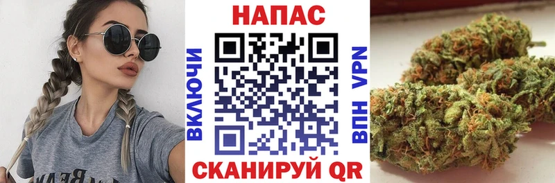 Шишки марихуана MAZAR  Купить  Дмитриев 